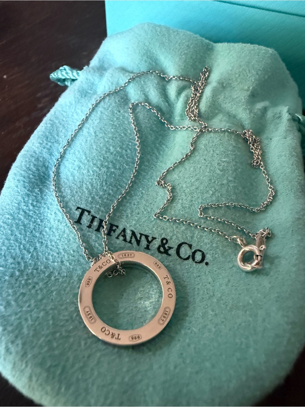 Tiffany & Co. 1837 Circle Pendant Necklace